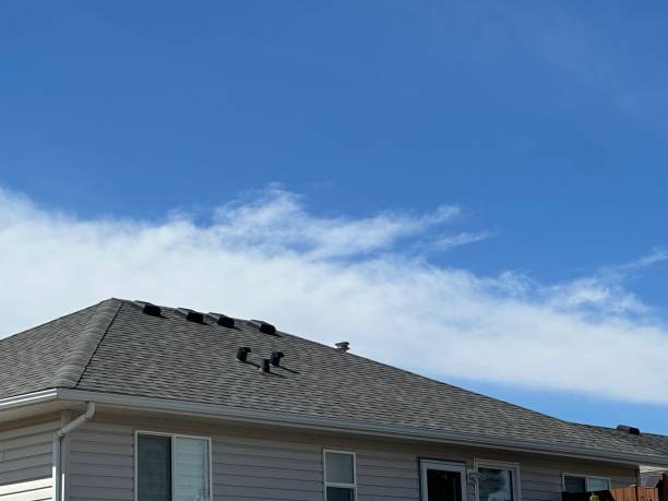 Best Gutter Replacement  in Matamoras, PA